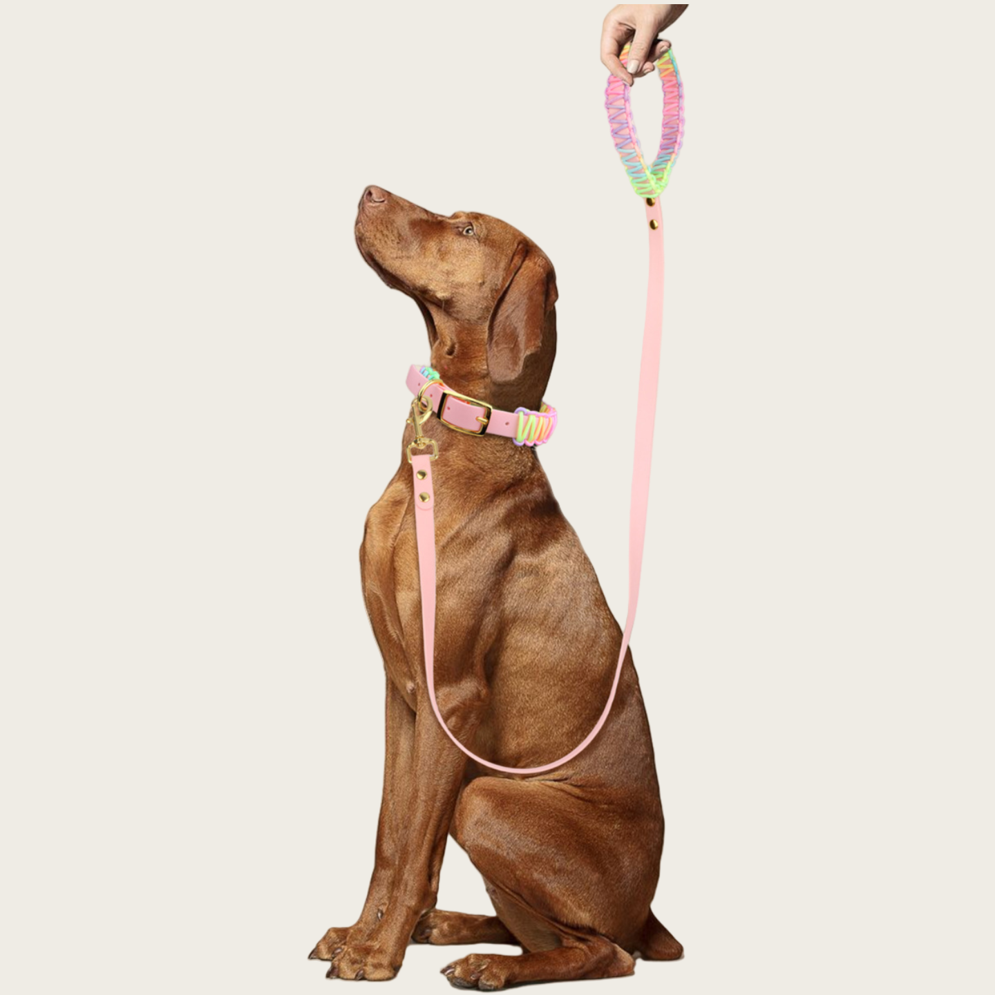 Breathable Hand-Woven PVC Dog Collar 2025 - No Odor, Quick-Dry Summer Gear for Active Dogs