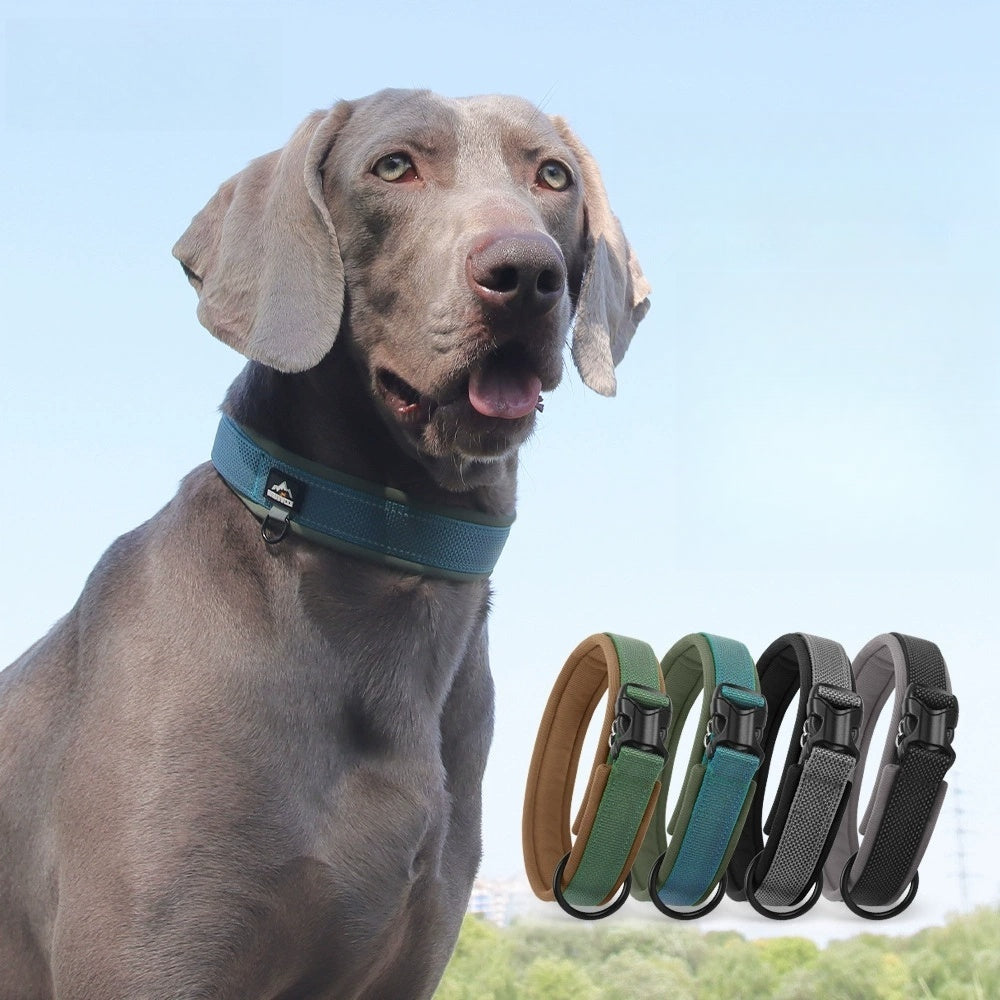 heavy-duty reflective dog collar - Industrial nylon adjustable for medium