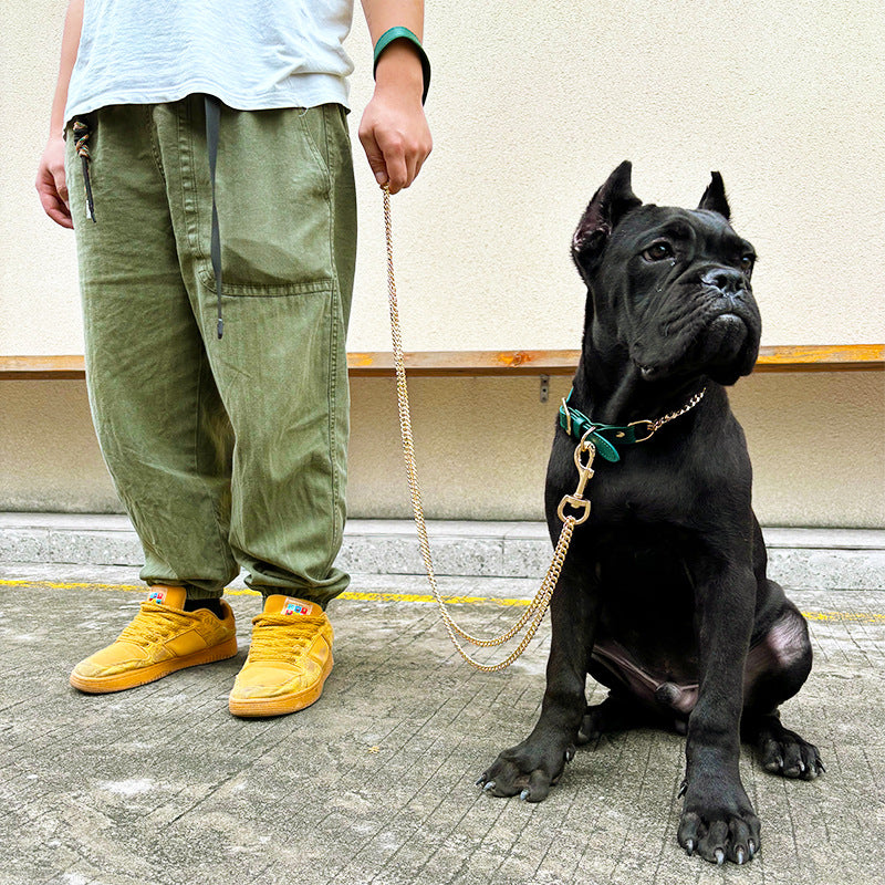 Stylish Dual Chain Design for Large and Medium Breeds-bully pitbull