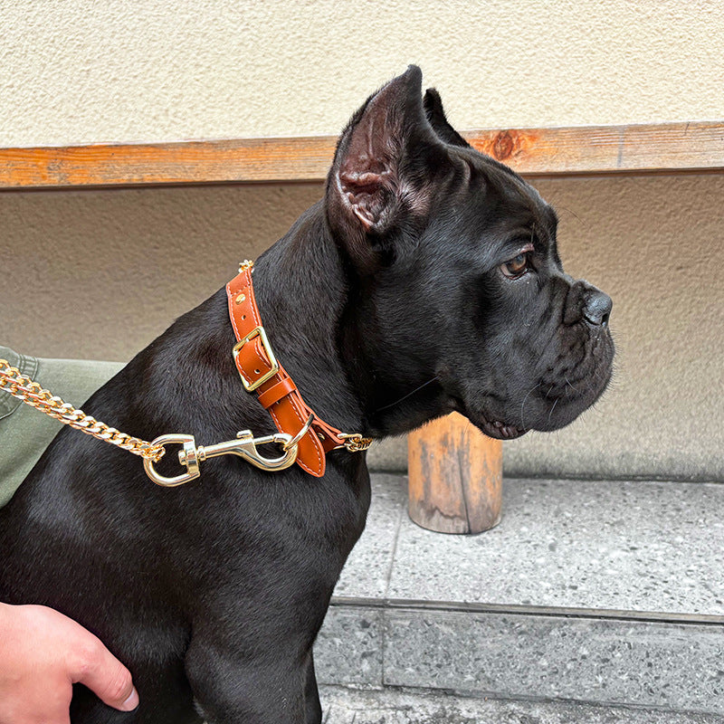 Padded comfort prevents neck strain + non-slip handle control-perfect for Bulldogs