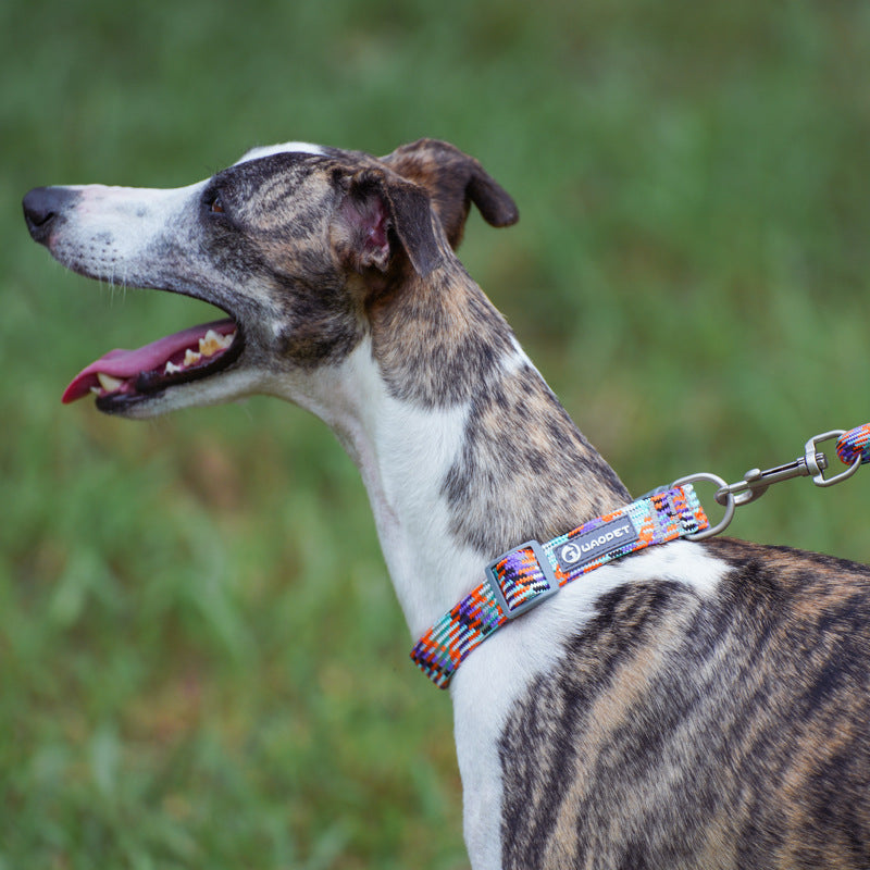 anti-choke quick-snap buckle for medium/Large breeds