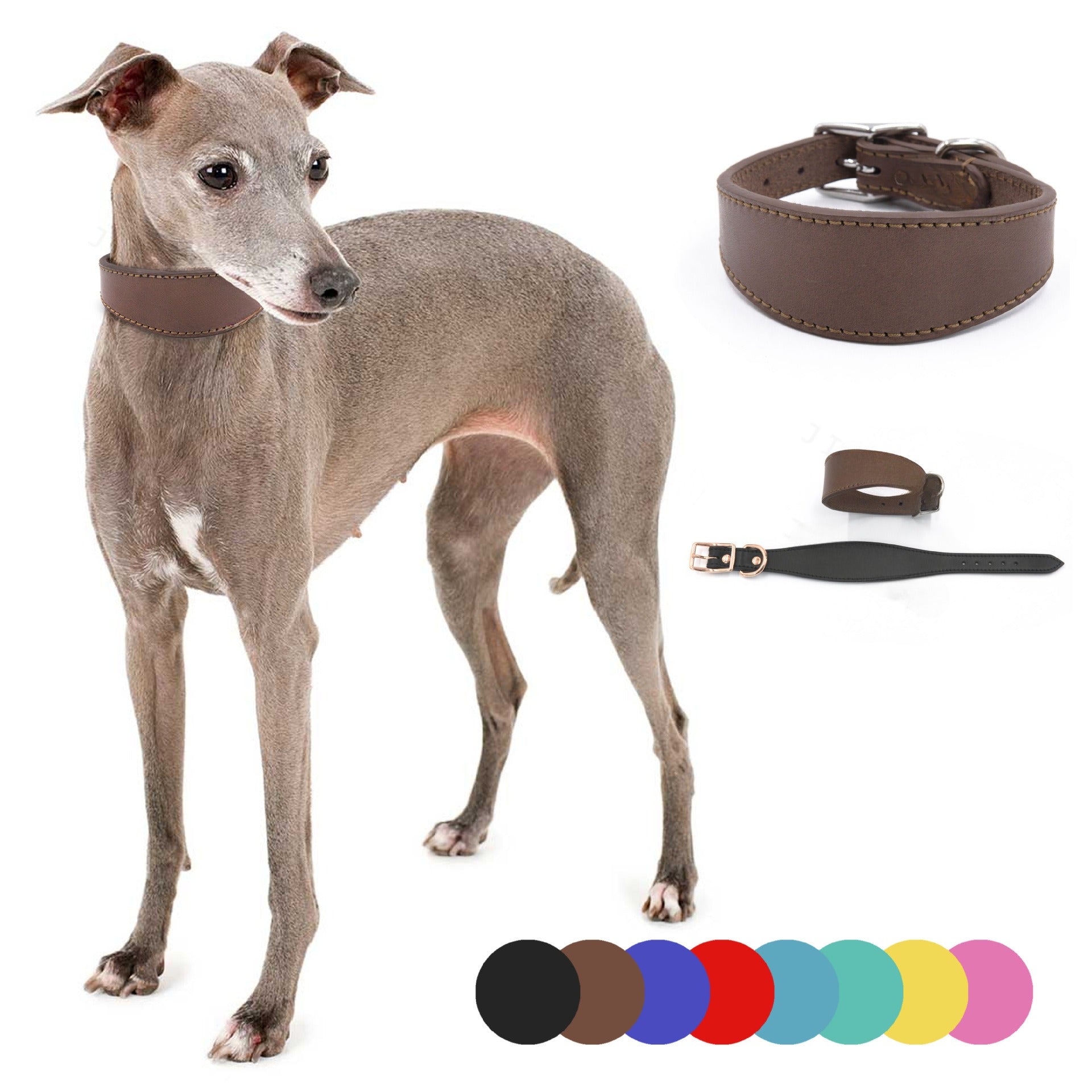  100% full-grain leather dog collar-genuine cowhide for Greyhounds-Whippets - Large Breeds