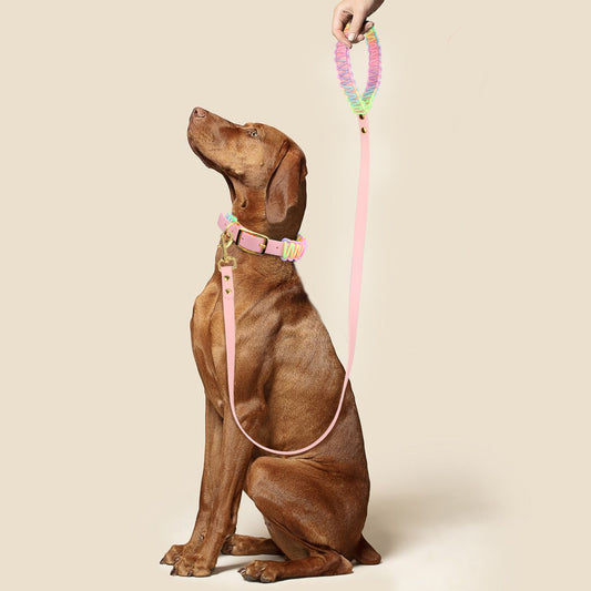 designed for small/medium breeds & delicate-neck dogs